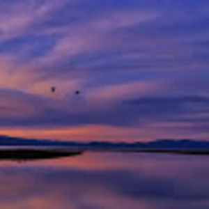 Meet your Posher, Darren